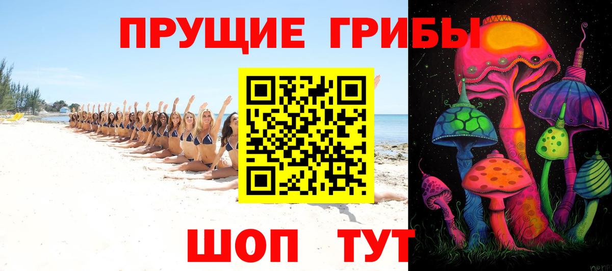 Галлюциногенные грибы Magic Shrooms  Вход с VPN  Владикавказ  Псилоцибиновые грибы Psilocybe 